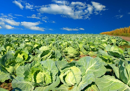 1649309949100926.png image.png