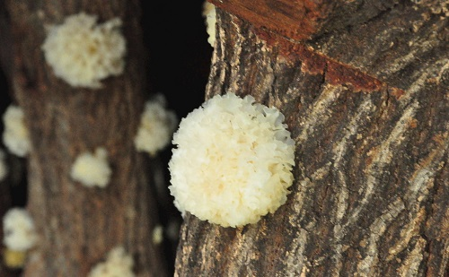 1658805679880555.png image.png