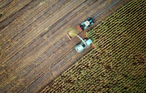 1659678102141504.png image.png