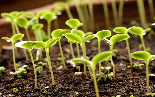 1660618739173833.png image.png