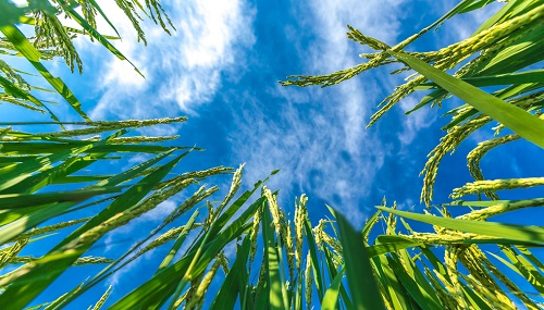 1661133162540144.png image.png