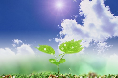 1662002876244221.png image.png