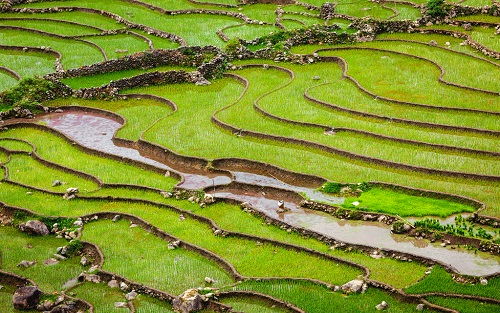 1663219456126882.png image.png