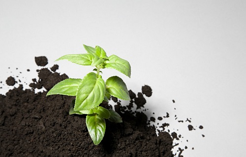 1664249701201344.png image.png