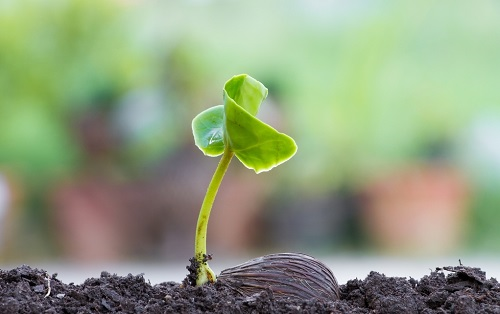 1665381485143034.png image.png