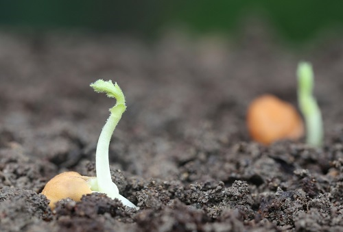 1665630761176026.png image.png