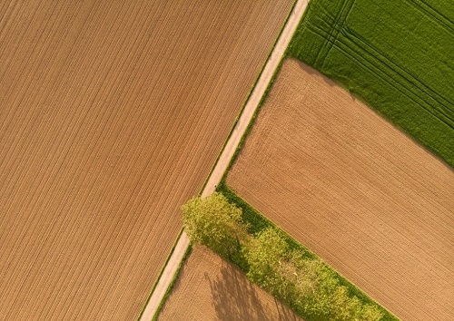 1666072691299036.png image.png