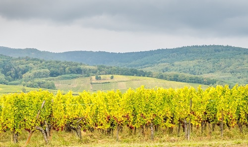 1666245373189095.png image.png