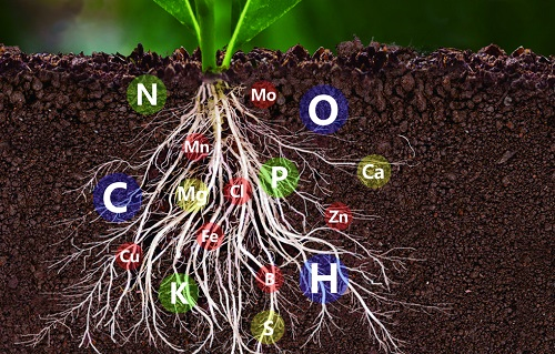 1666927518210380.png image.png