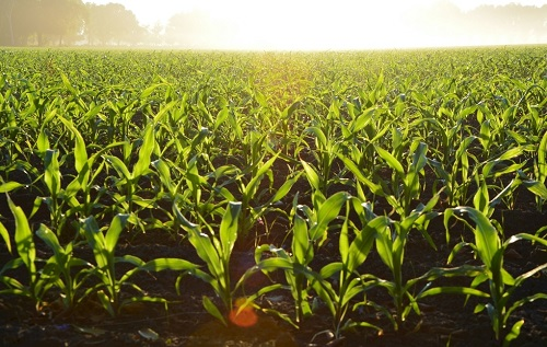 1667964652803780.png image.png