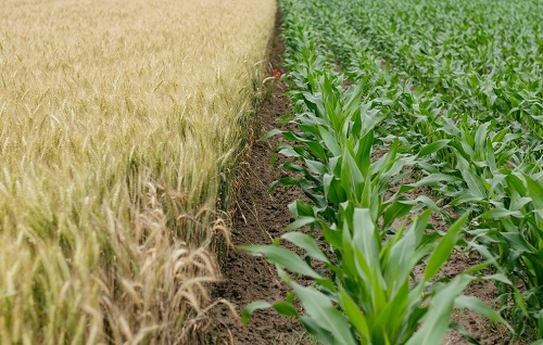 1668143849964223.png image.png