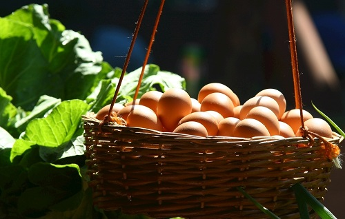 1668480832117622.png image.png