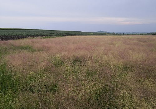 1668739929179097.png image.png