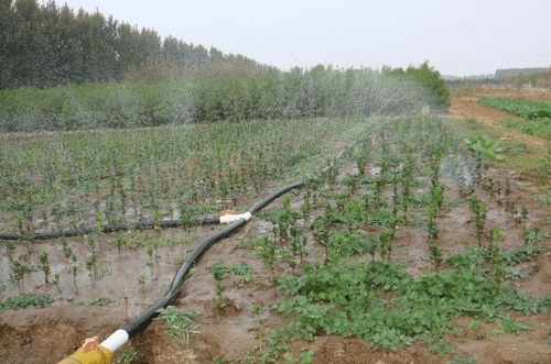 1669602693558855.png image.png