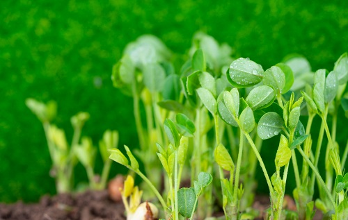 1669959724545684.png image.png