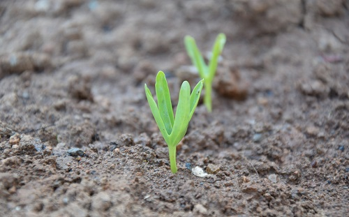 1670309500206516.png image.png