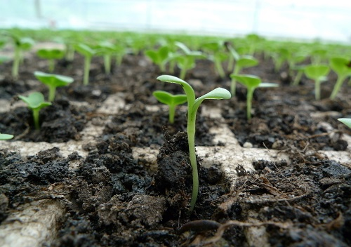 1670912668536868.png image.png