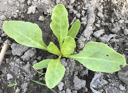 1670913734190198.png image.png