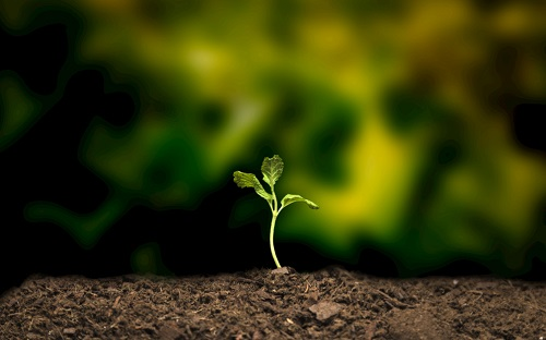 1671432833529930.png image.png