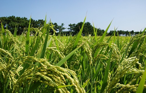 1671777984151833.png image.png