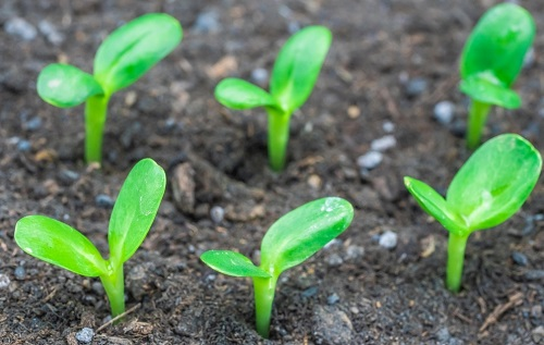 1672035764130336.png image.png