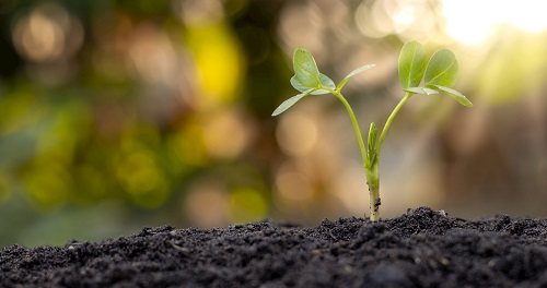 1672290718130284.png image.png