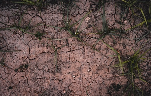 1672290915211166.png image.png