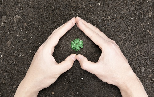 1673333839210987.png image.png