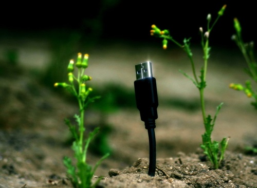 1673503118174958.png image.png