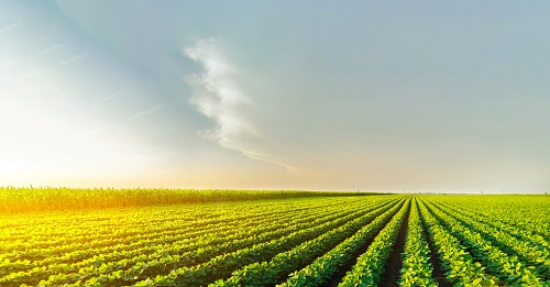 1673590372129344.png image.png