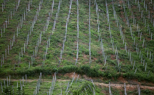 1675827491178008.png image.png