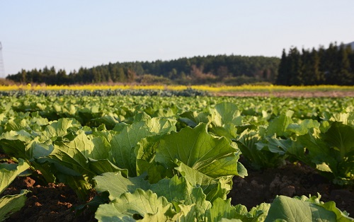 1676532638905791.png image.png