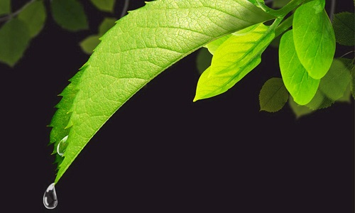 1677210328211875.png image.png