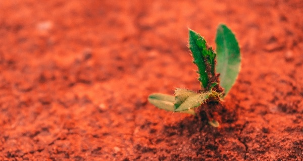 1678254008102736.png image.png