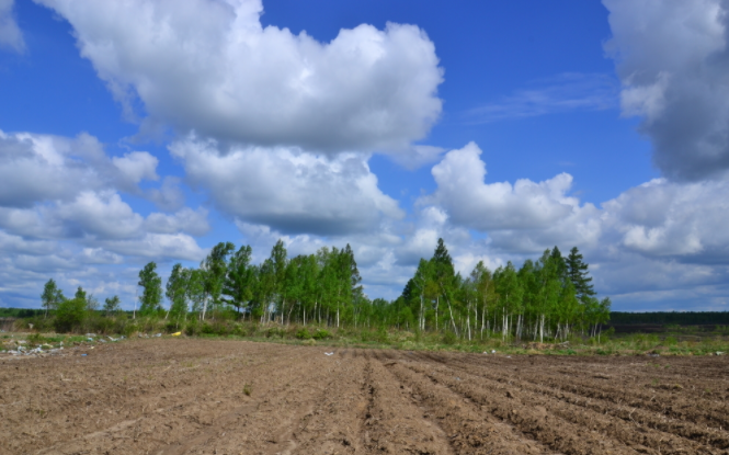 土壤養(yǎng)分速測儀有什么作用？？土壤養(yǎng)分速測儀三大功效詳解