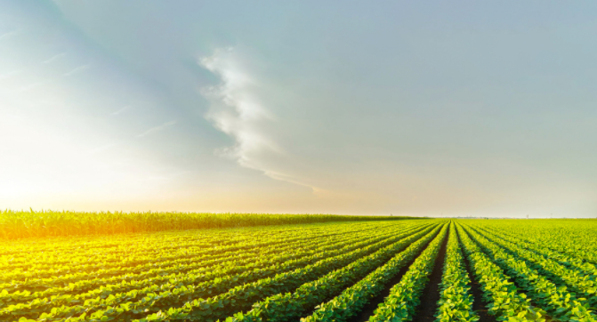 土壤PH測定儀到底是怎么用的？（土壤ph檢測儀的使用方法）