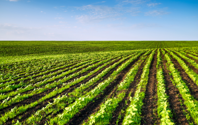 檢測土地質(zhì)量的必需利器！看看土壤微量元素測定儀發(fā)揮怎樣的作用！